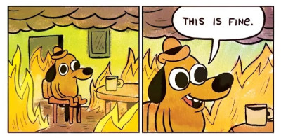 this is fine.jpg
