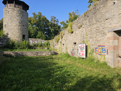 20250809_182409.jpg